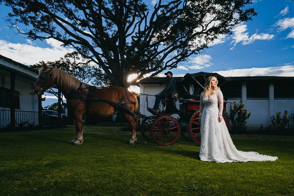 El guardián de la novia