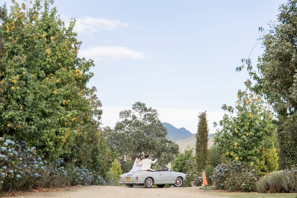 Carro Boda