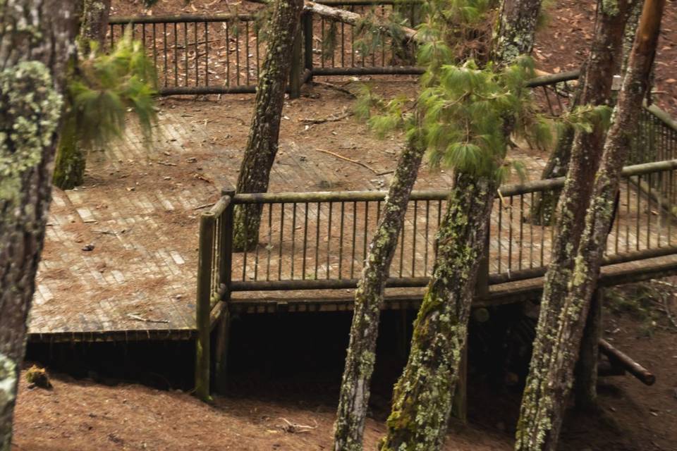 Espacio campestre para realizar bodas