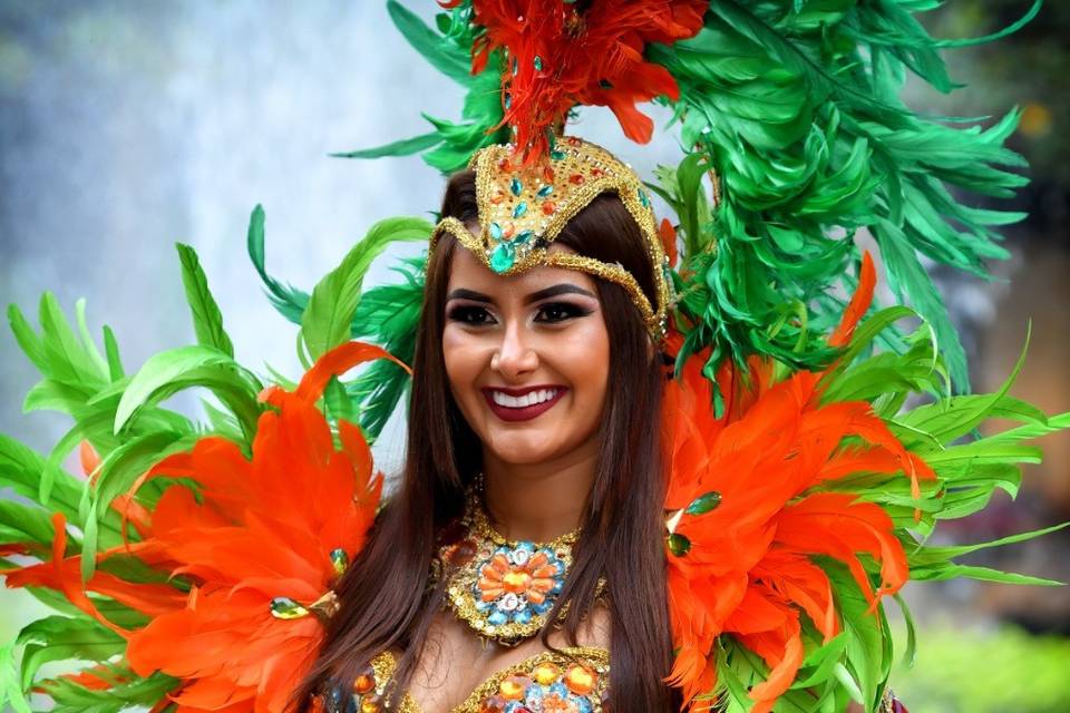 Carnaval de río