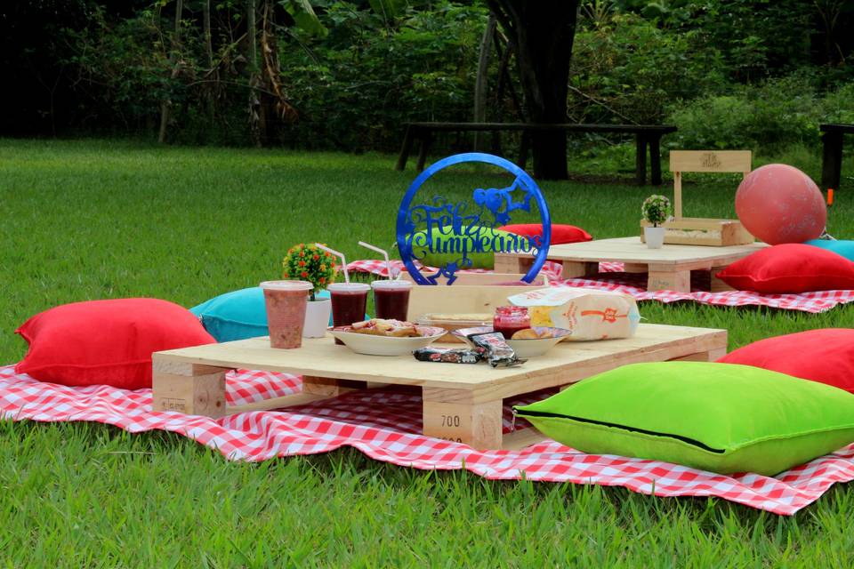 Zona picnic