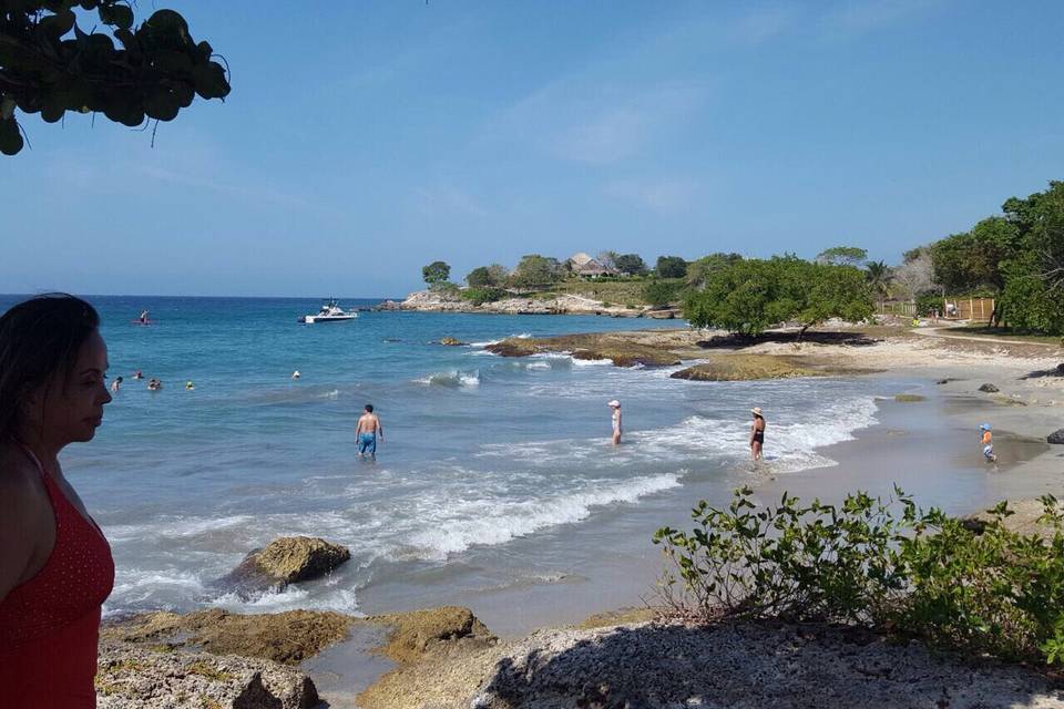 Isla Real Cartagena