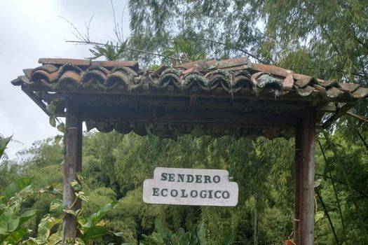 Sendero ecologico