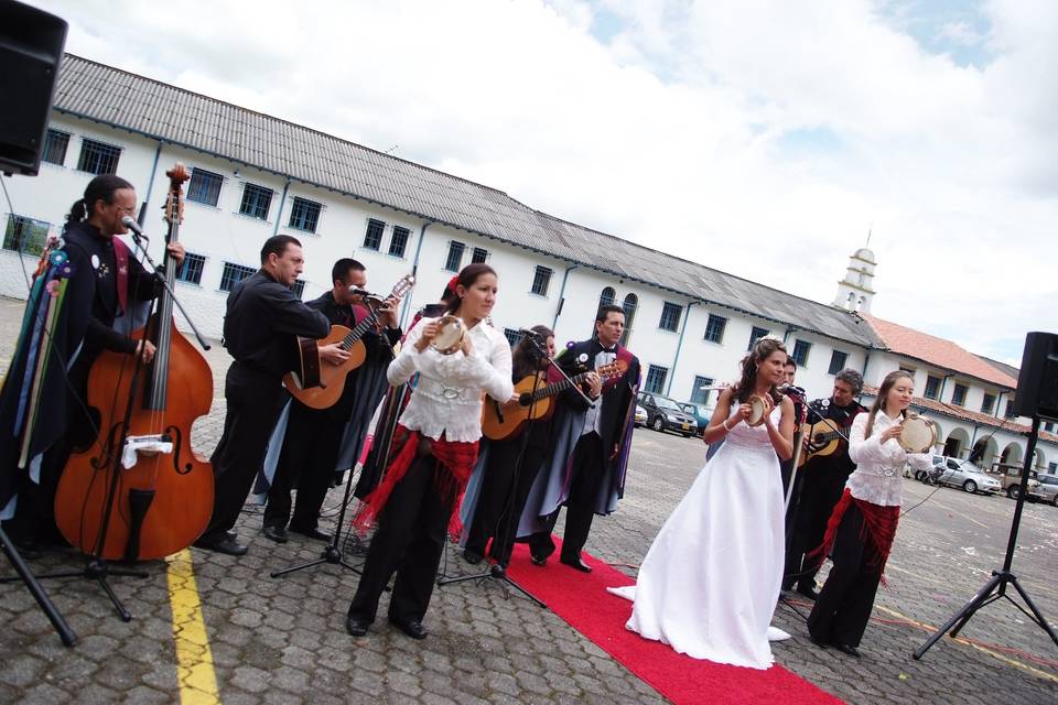 Show Flamenco Aroma Musical
