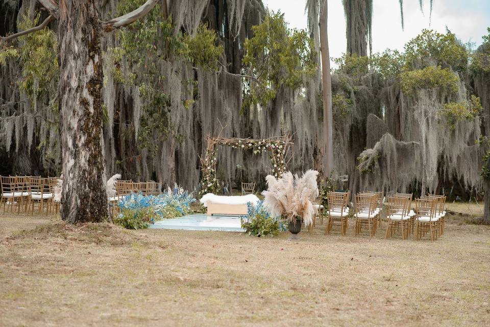 Ceremonia en bosque de musgo