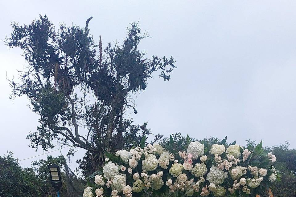 Ceremonia de bodas