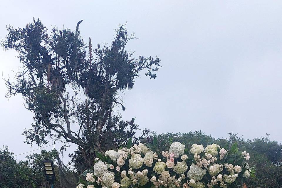 Ceremonia de bodas