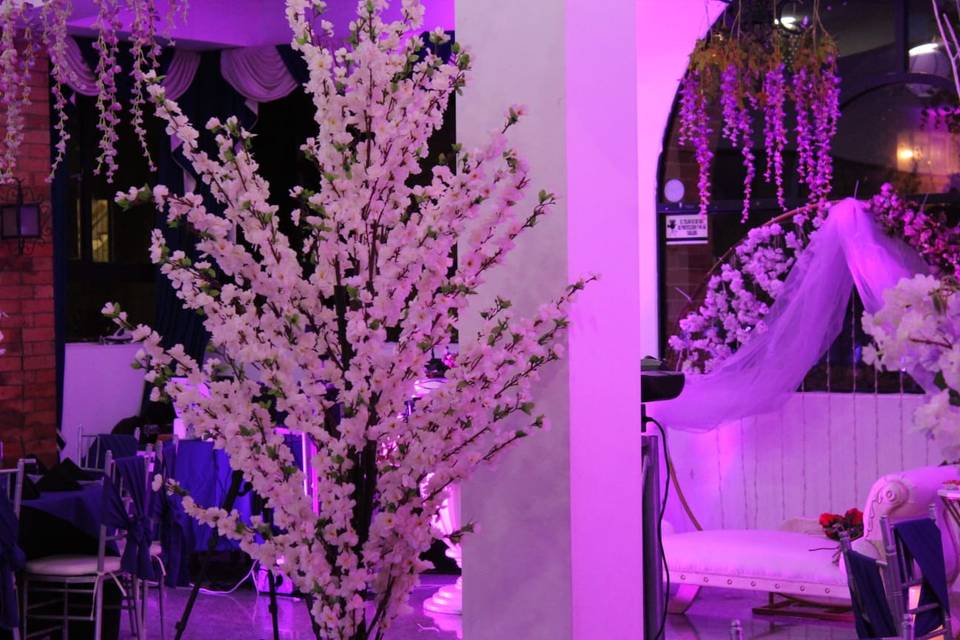 Decoración