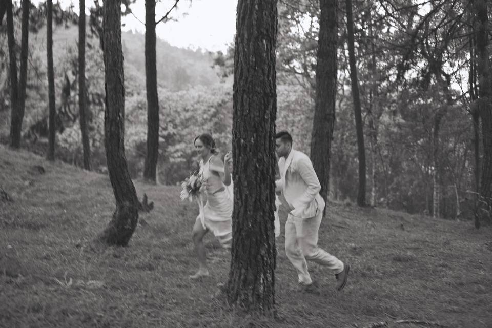 Novios en el bosque