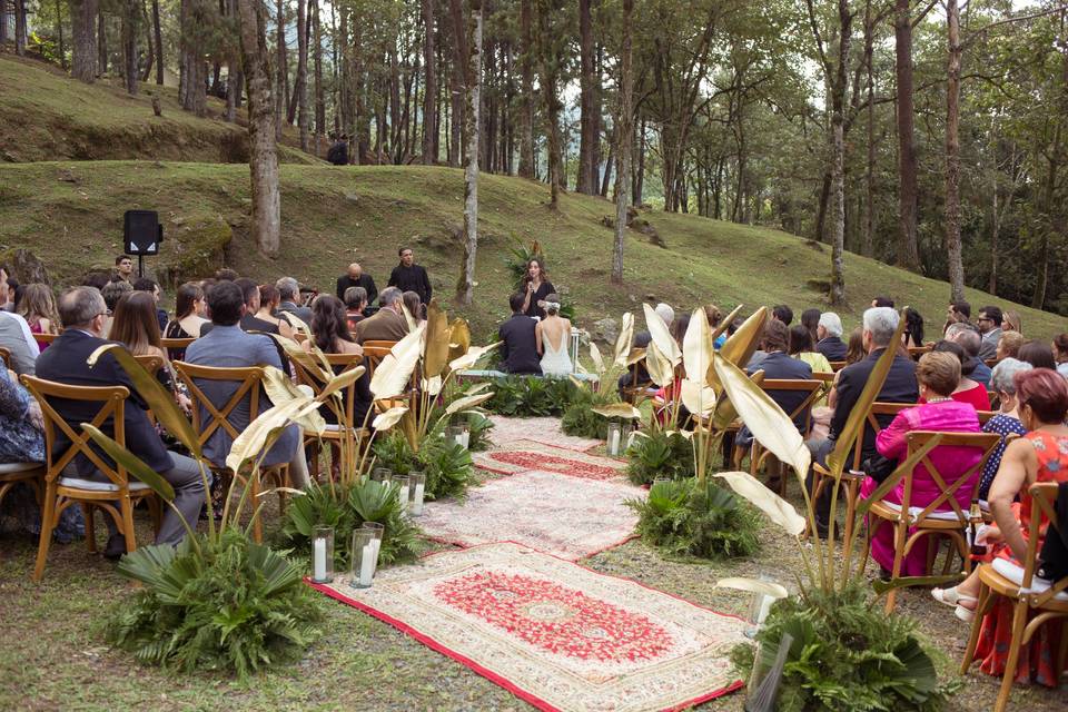 Ceremonia en el bosque