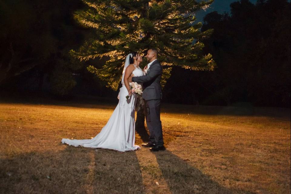 Novios posando frente a un árbol de noche