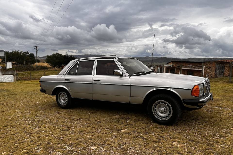 Mercedes Benz w123 placa azul