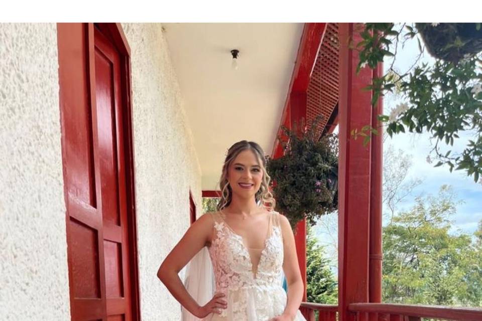 Vestido estilo princesa