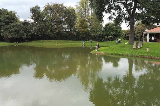 Lago en un jardín