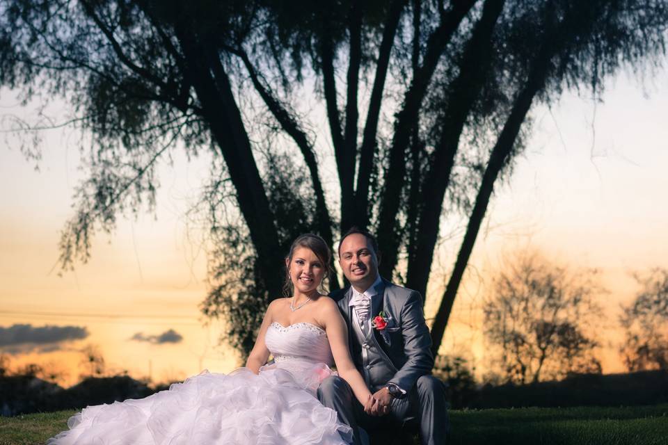 Novios sentados frente a un árbol en el atardecer