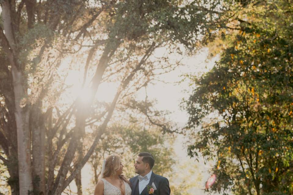 Novios posando en el jardín