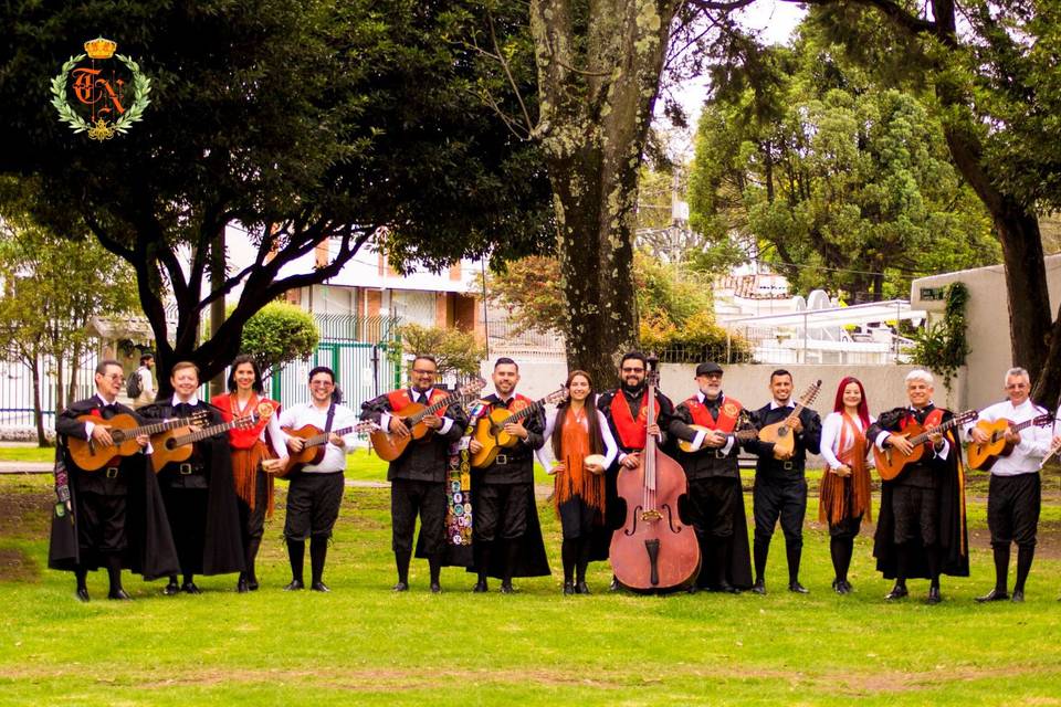 Serenata Tuna Navarra