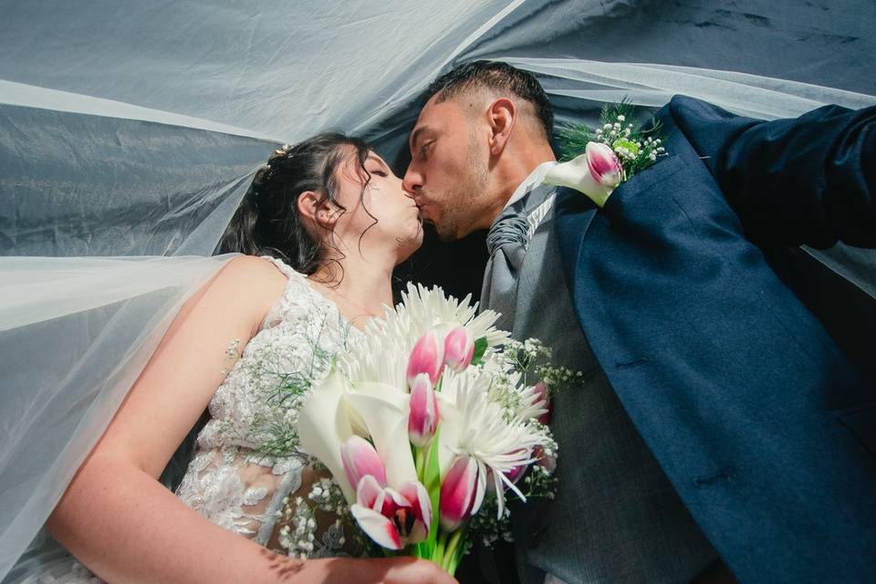 Recién casados besándose bajo el velo de novia
