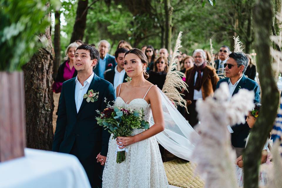 Boda Valentina y Franciso