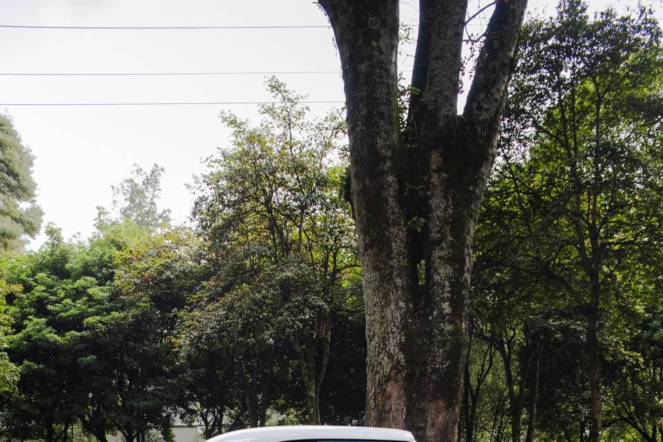 Buick Special Sedan 1957