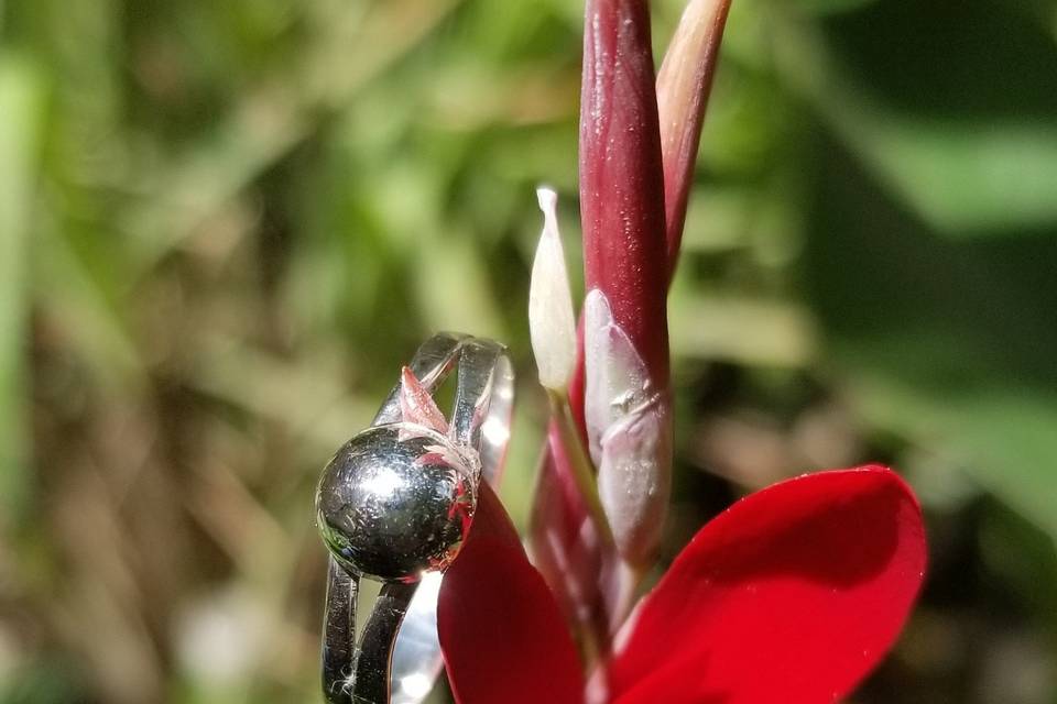 Anillo dama bola.