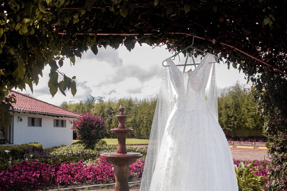El vestido que deslumbra