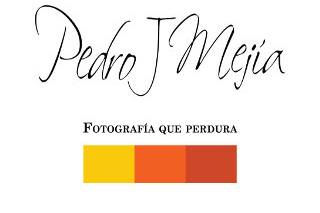 Logo Pedro Mejia
