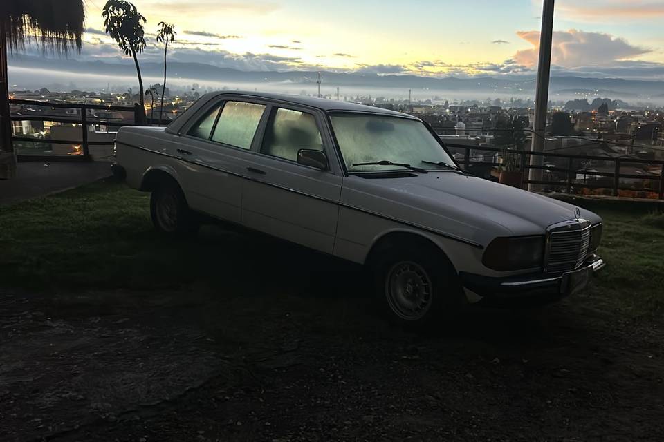 Mercedes Benz 230E 1985