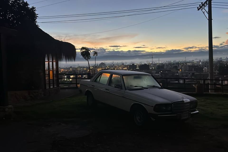 Mercedes Benz 230E 1985