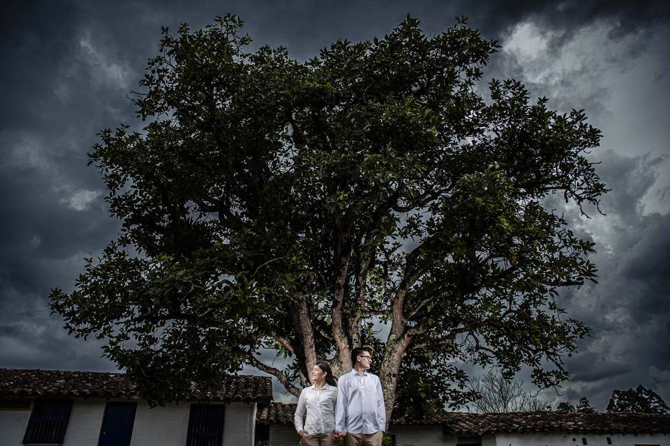 Bodas Medellín