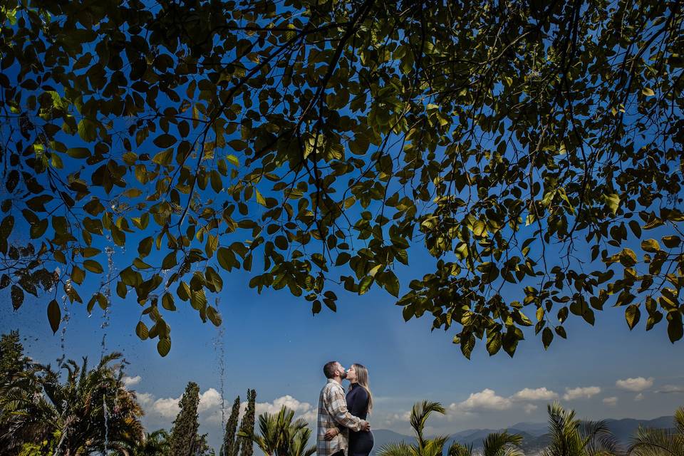 Bodas Medellín