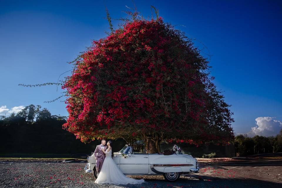 Bodas Llanogrande