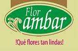 Flor Ambar