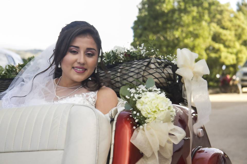 Liliana Tovar Photography