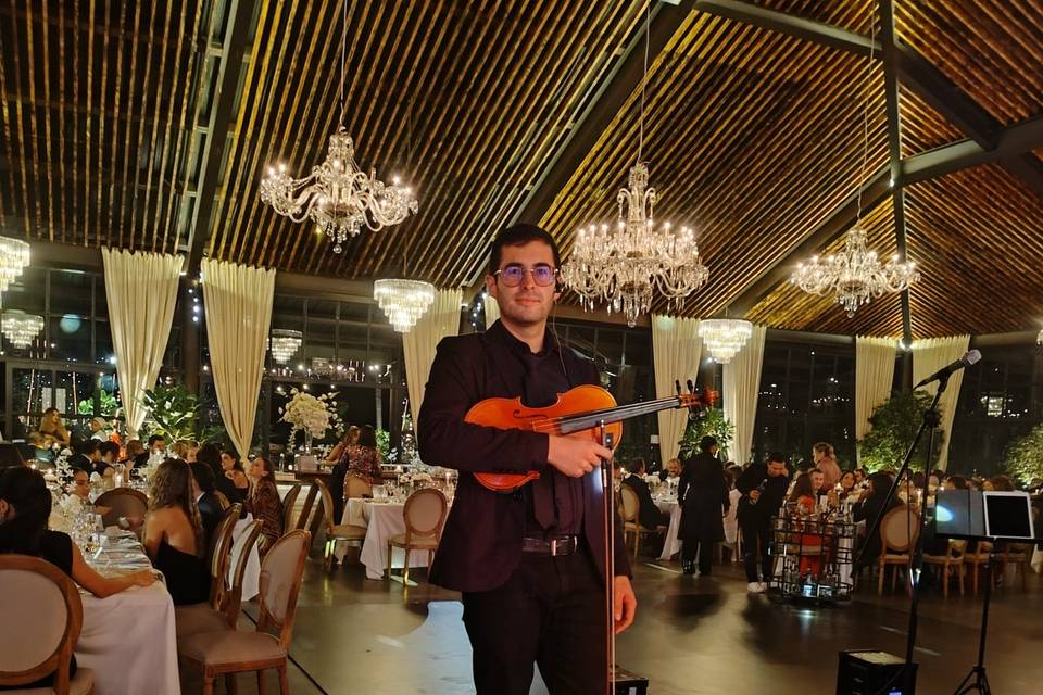 Músico tocando el violín