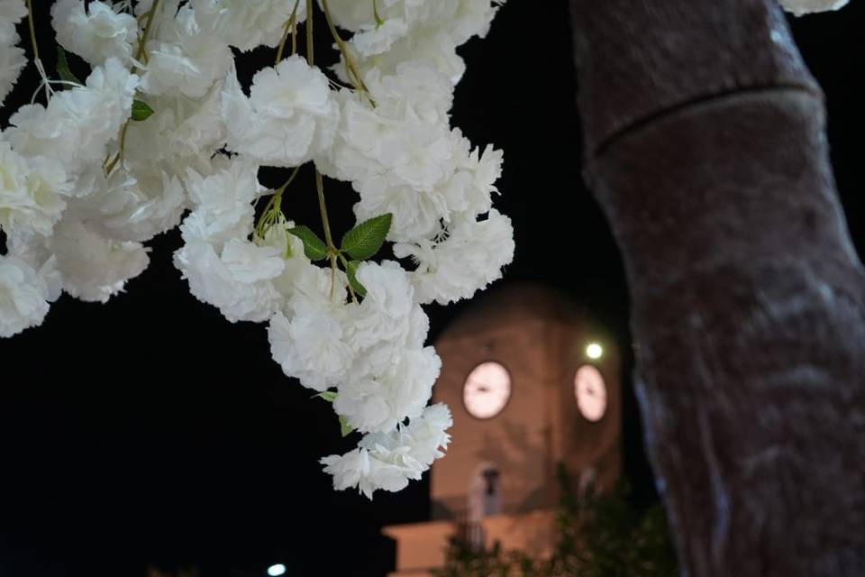 Noche romantica