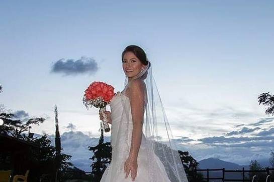 Vestidos de novia