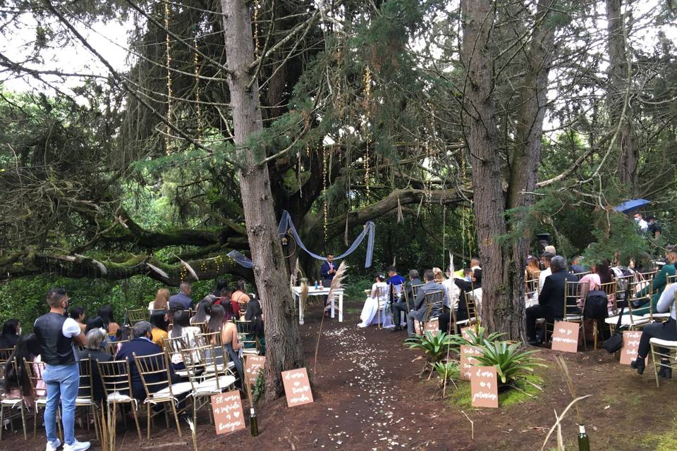 Ceremonia nupcial en medio del bosque