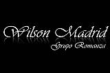 logo Wilson Madrid