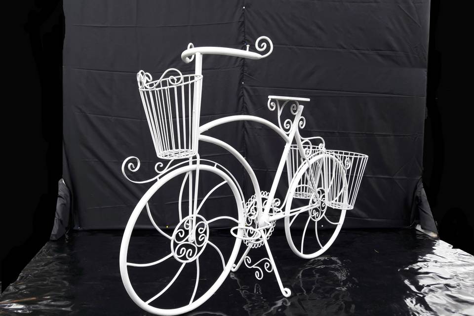 Bicicleta binta