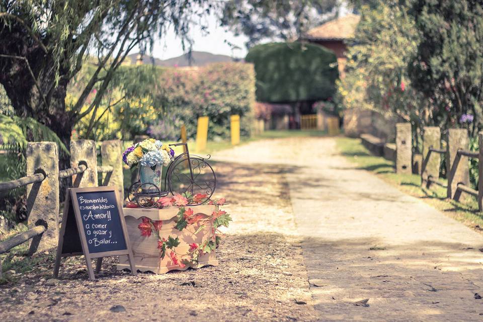 TMP - Fotografía Matrimonio