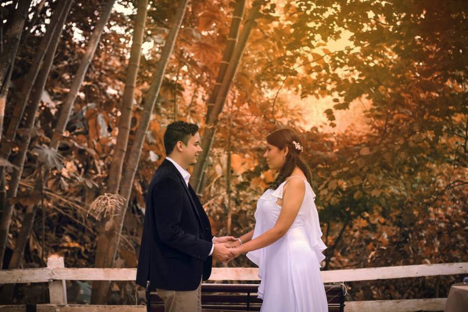 Fotografía de Boda