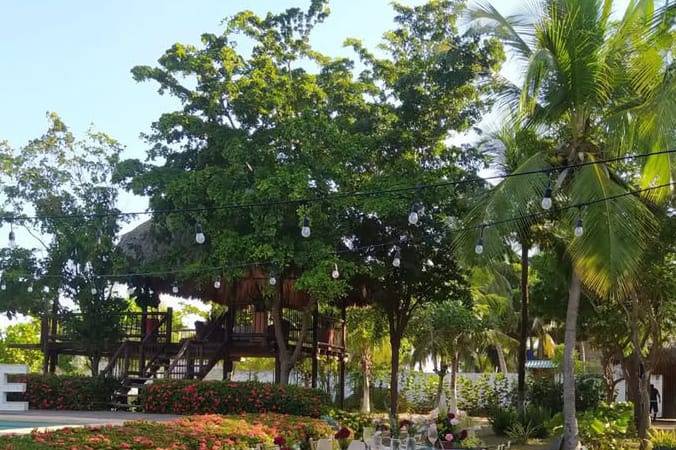 Banquete en jardín