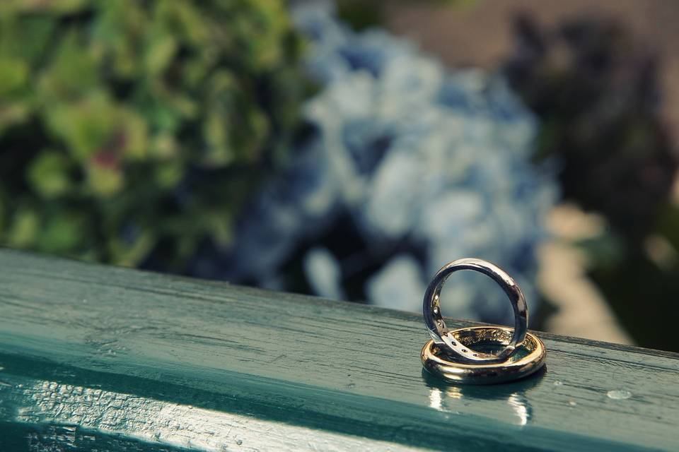Hacienda Fagua anillos boda