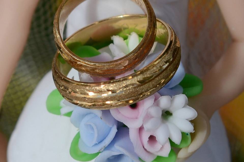 Anillos