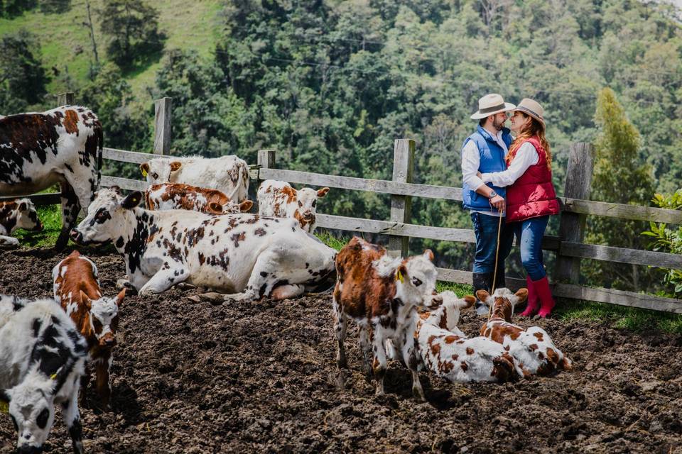 Bodas Manizales