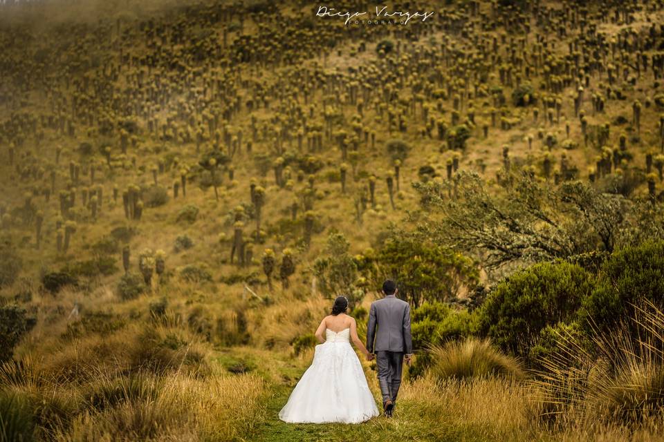 Bodas Manizales