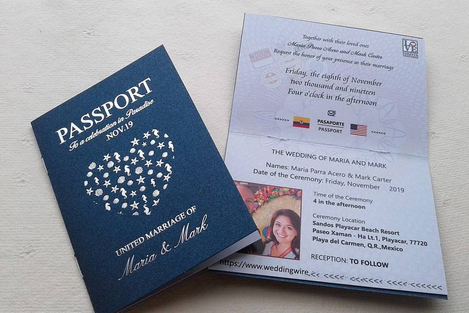 Pasaporte estampado plateado