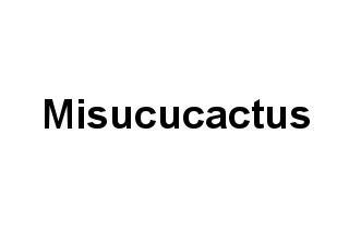 Misucucactus