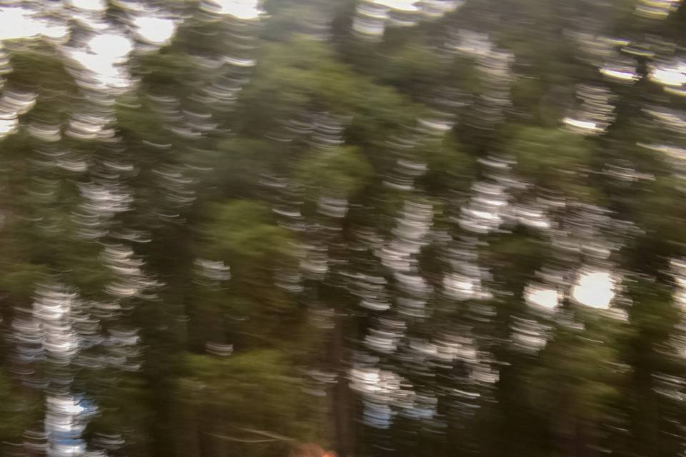 Recién casados corriendo en el jardín